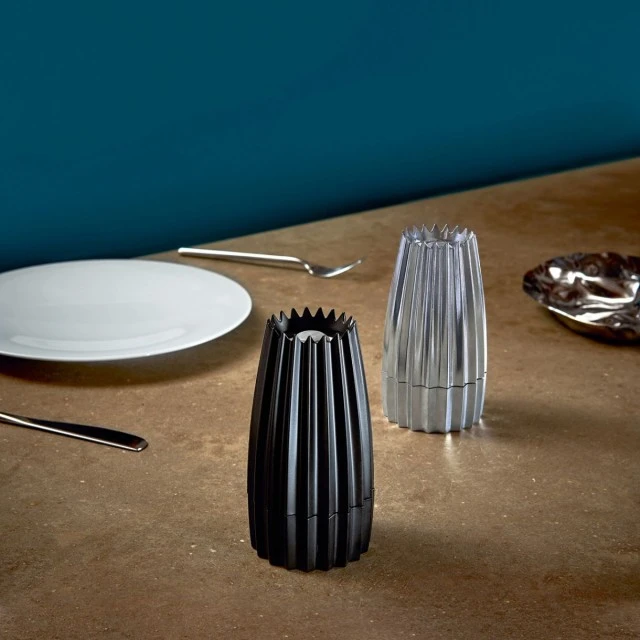 Salt or pepper mill Grind