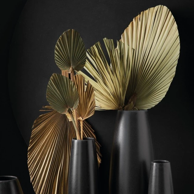 Palm leaf