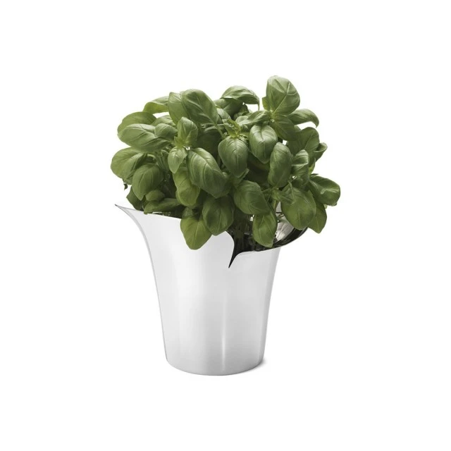 Саксия Bloom Botanica 14см