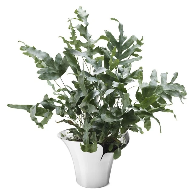 Саксия Bloom Botanica 19см