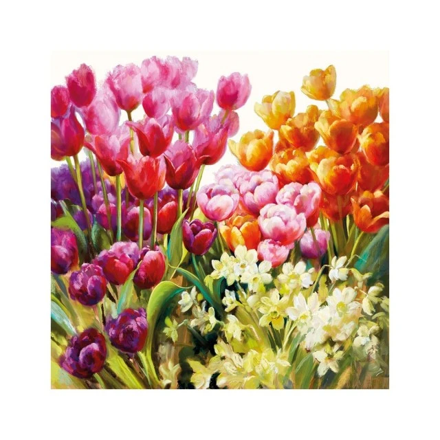 Салфетка 25см 25см 20бр Tulips