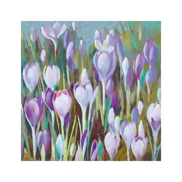 Салфетка 25см 25см 20бр Crocus