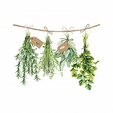 Napkin 25cm 25cm 20pcs Fresh herbs