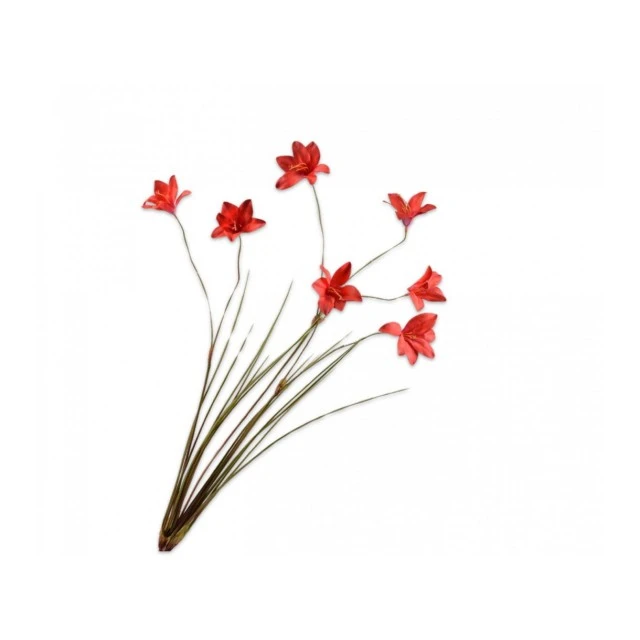 Ornamental plant Lilium 94cm Color red