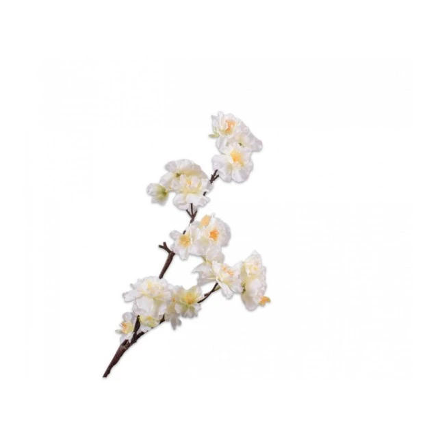 Ornamental plant Japanese cherry 63cm Color white