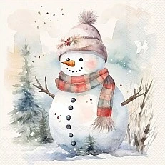 Салфетка 33см 33см 20бр Snowman in nature