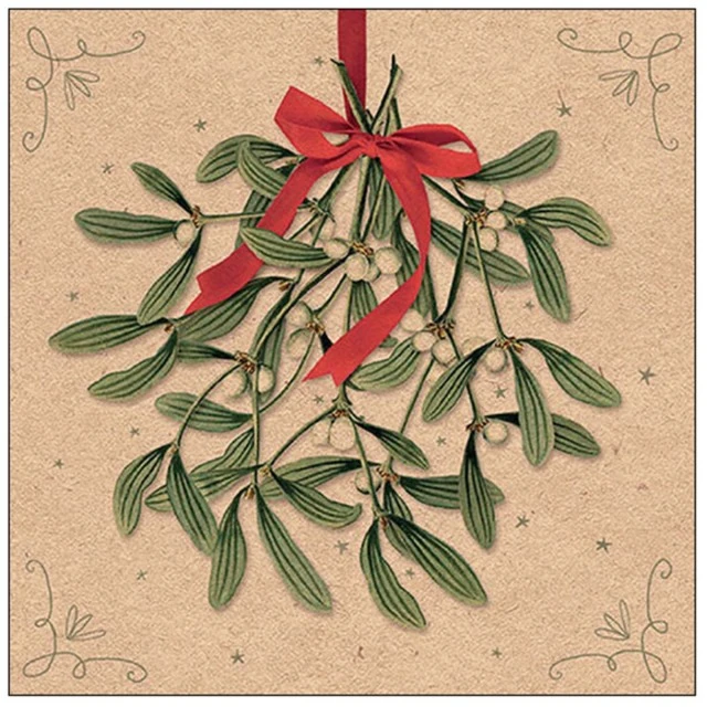 Napkin 33cm 33cm 20pcs RECYCLED MISTLETOE WITH BOW NATURE