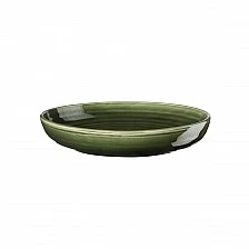 Fusion plate 22cm poké méxico Asa Color green