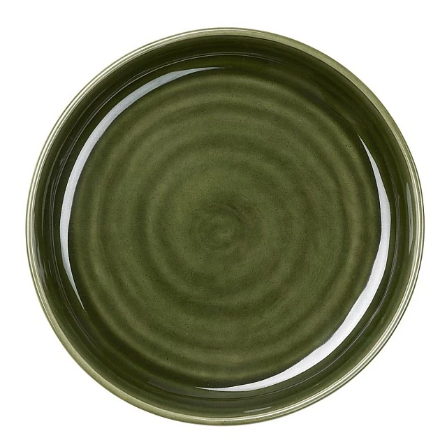 Fusion plate 22cm poké méxico Asa Color green