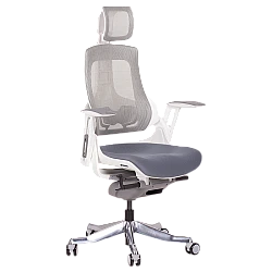 Ergonomic chair AMBRA - gray