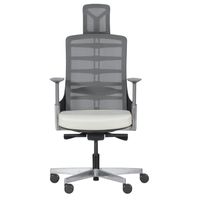 Ergonomic chair ALBERTO - white