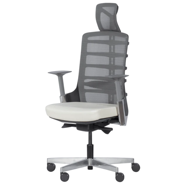 Ergonomic chair ALBERTO - white