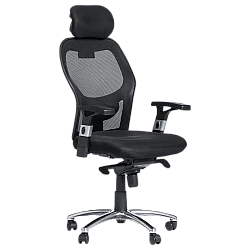 Ergonomic chair Carmen 7520 - black