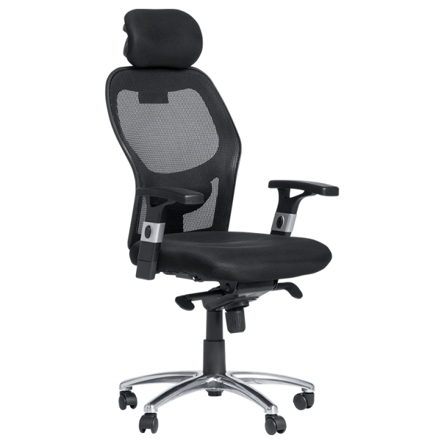 Ergonomic chair Carmen 7520 - black