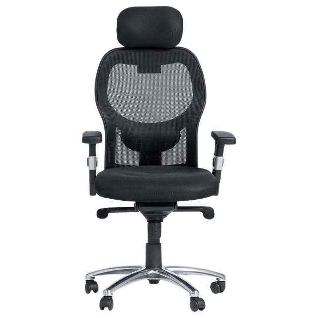 Ergonomic chair Carmen 7520 - black