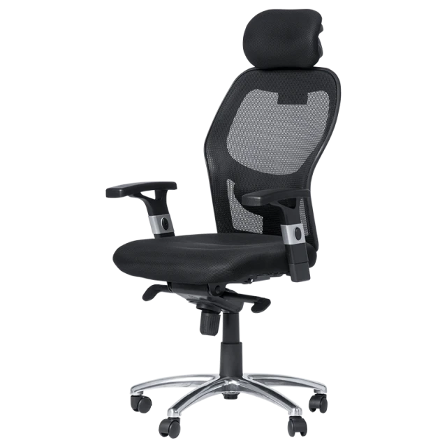 Ergonomic chair Carmen 7520 - black