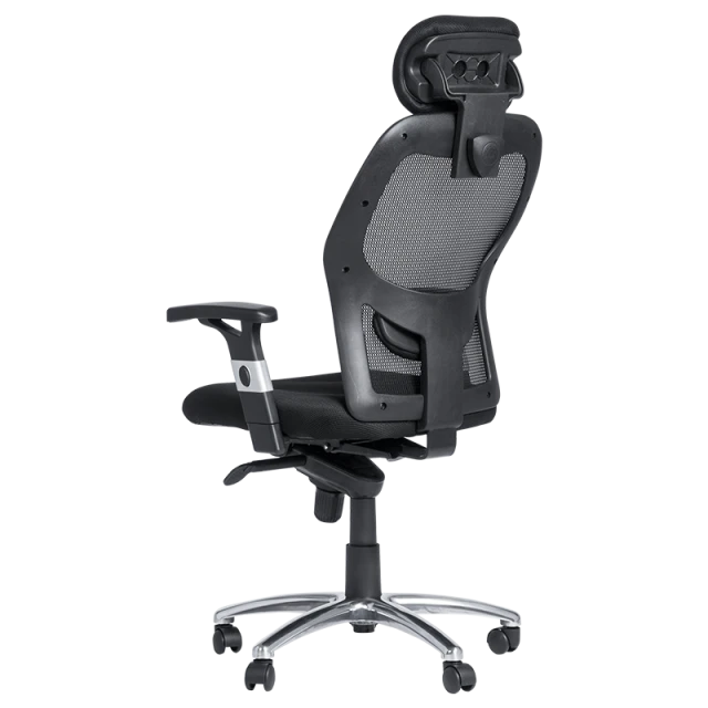 Ergonomic chair Carmen 7520 - black