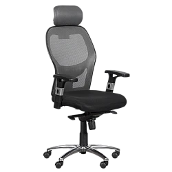 Ergonomic chair Carmen 7520 - black - gray