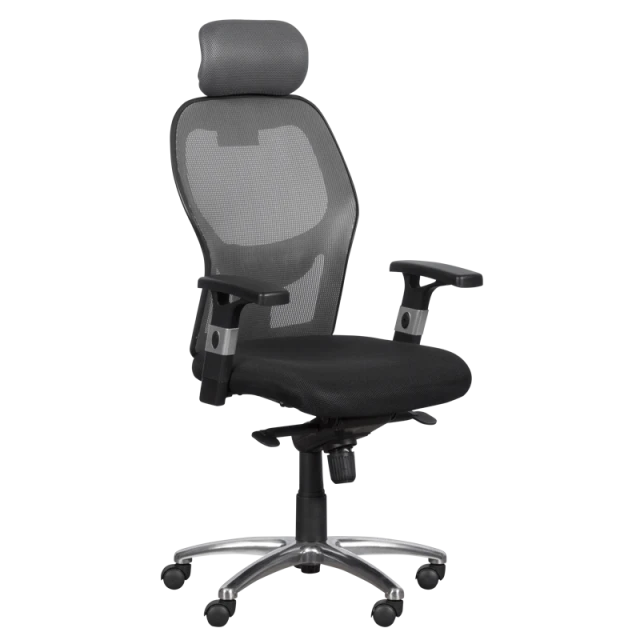 Ergonomic chair Carmen 7520 - black - gray
