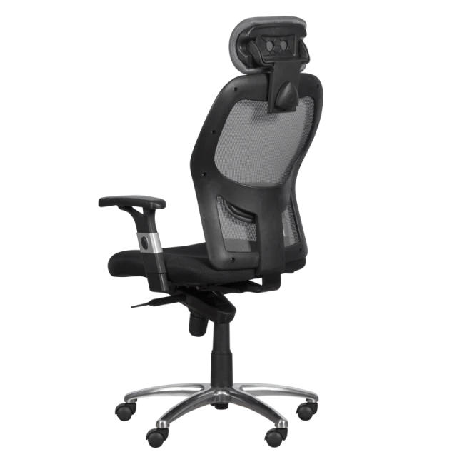 Ergonomic chair Carmen 7520 - black - gray