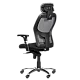 Ergonomic chair Carmen 7520 - black - gray