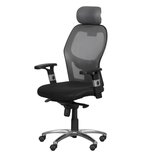 Ergonomic chair Carmen 7520 - black - gray