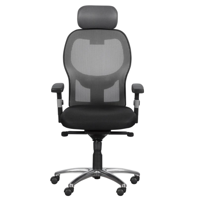 Ergonomic chair Carmen 7520 - black - gray