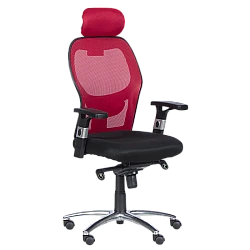 Ergonomic chair Carmen 7520 - black - red