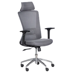 Ergonomic chair Carmen 7542 - gray