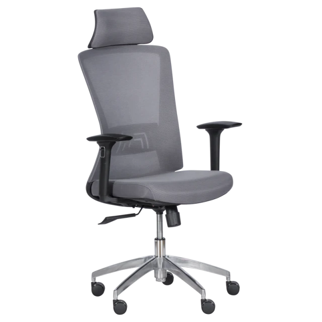 Ergonomic chair Carmen 7542 - gray