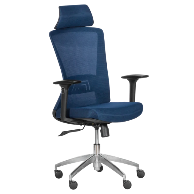 Ergonomic chair Carmen 7542 - dark blue