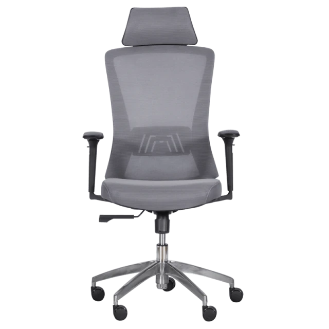 Ergonomic chair Carmen 7542 - gray