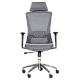 Ergonomic chair Carmen 7542 - gray