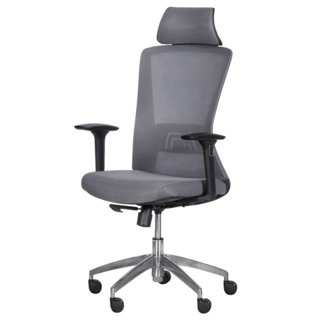 Ergonomic chair Carmen 7542 - gray