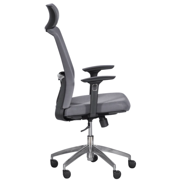 Ergonomic chair Carmen 7542 - gray