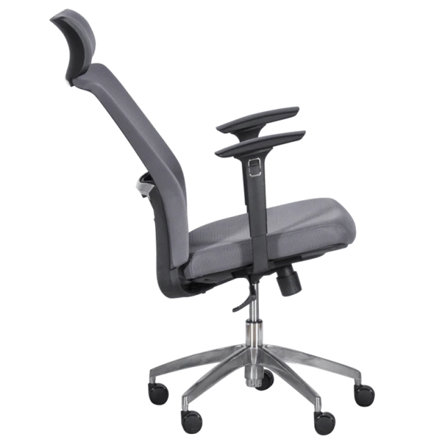 Ergonomic chair Carmen 7542 - gray