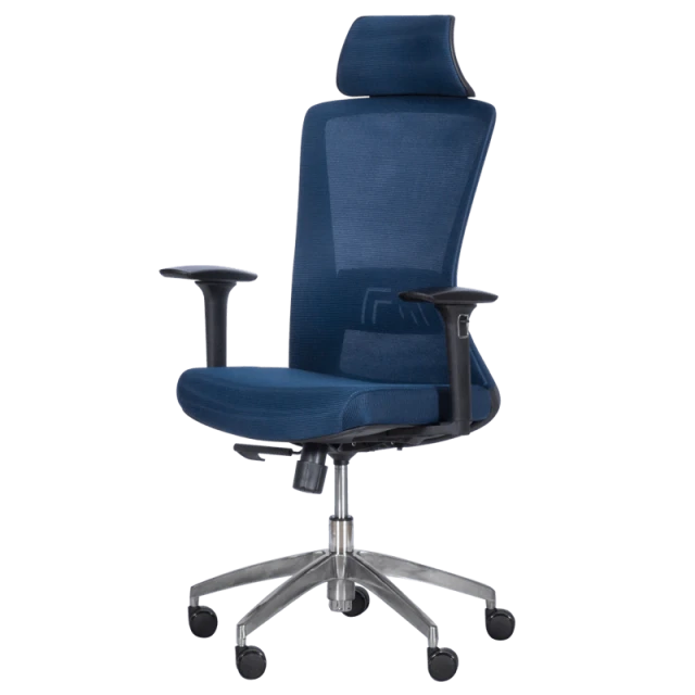 Ergonomic chair Carmen 7542 - dark blue