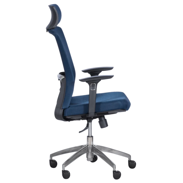 Ergonomic chair Carmen 7542 - dark blue