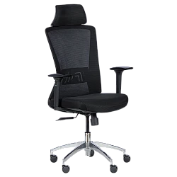 Ergonomic chair Carmen 7542 - black