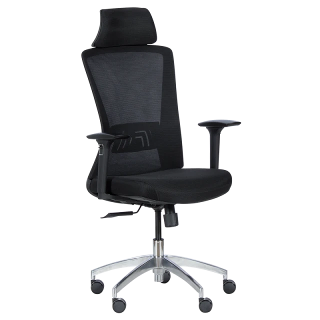 Ergonomic chair Carmen 7542 - black