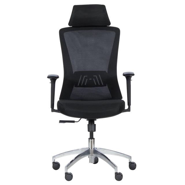 Ergonomic chair Carmen 7542 - black