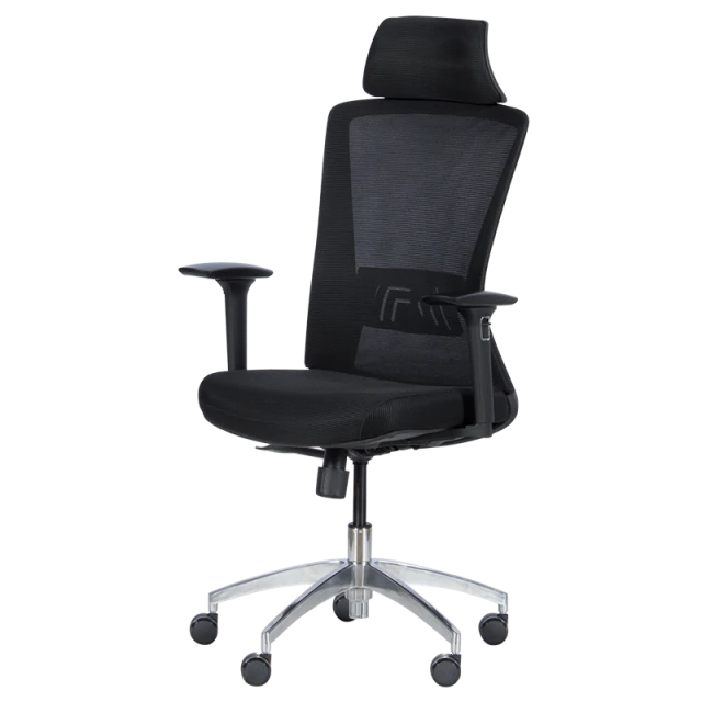 Ergonomic chair Carmen 7542 - black