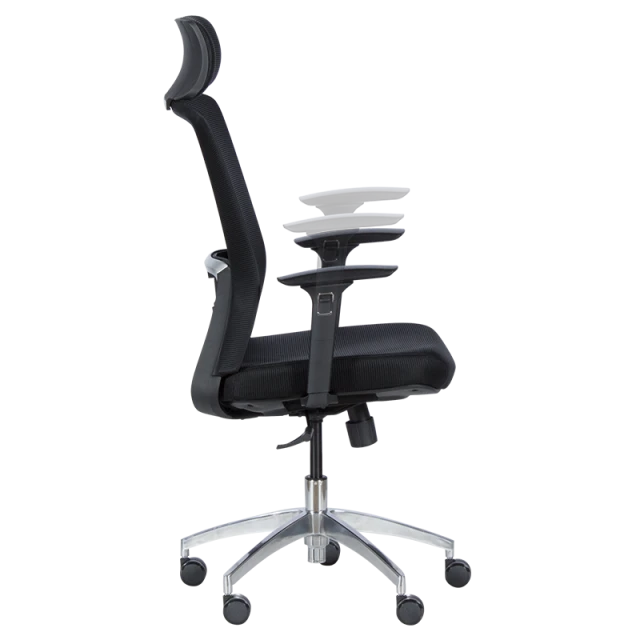 Ergonomic chair Carmen 7542 - black