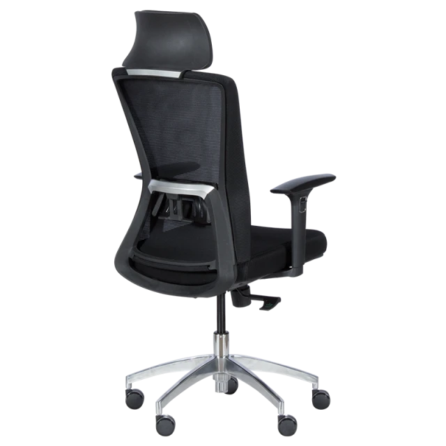 Ergonomic chair Carmen 7542 - black