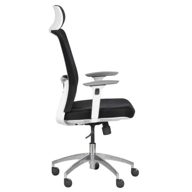 Ergonomic chair Carmen 7542 W - black