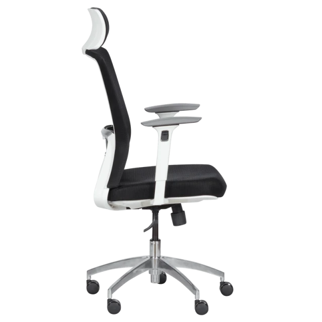Ergonomic chair Carmen 7542 W - black
