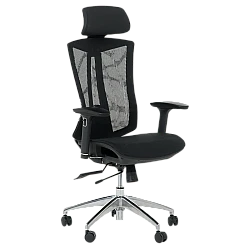 Ergonomic chair Carmen 7577 - black