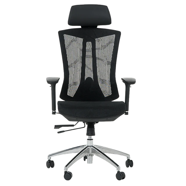 Ergonomic chair Carmen 7577 - black