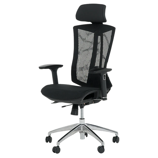 Ergonomic chair Carmen 7577 - black