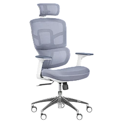 Ergonomic chair Carmen 7579 - gray